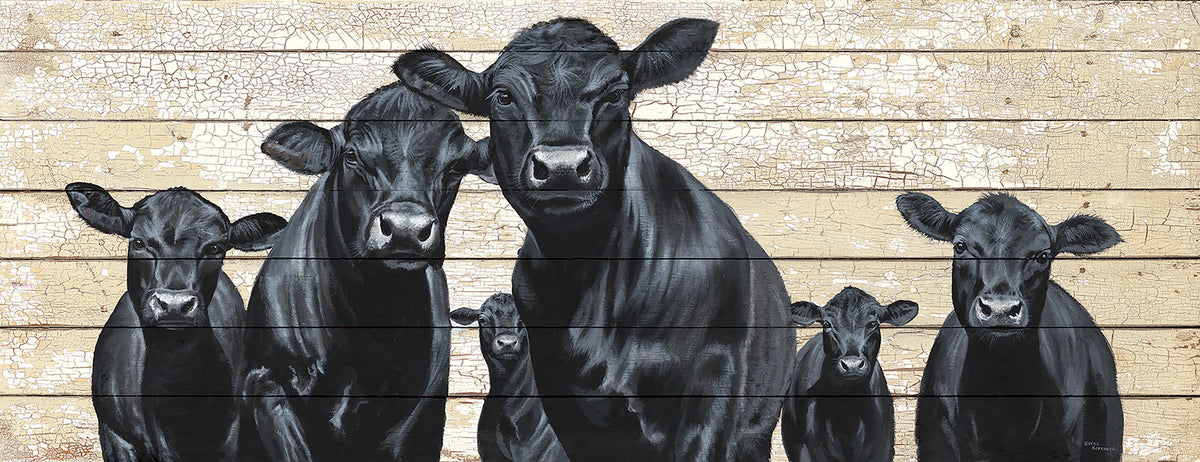 Black Angus