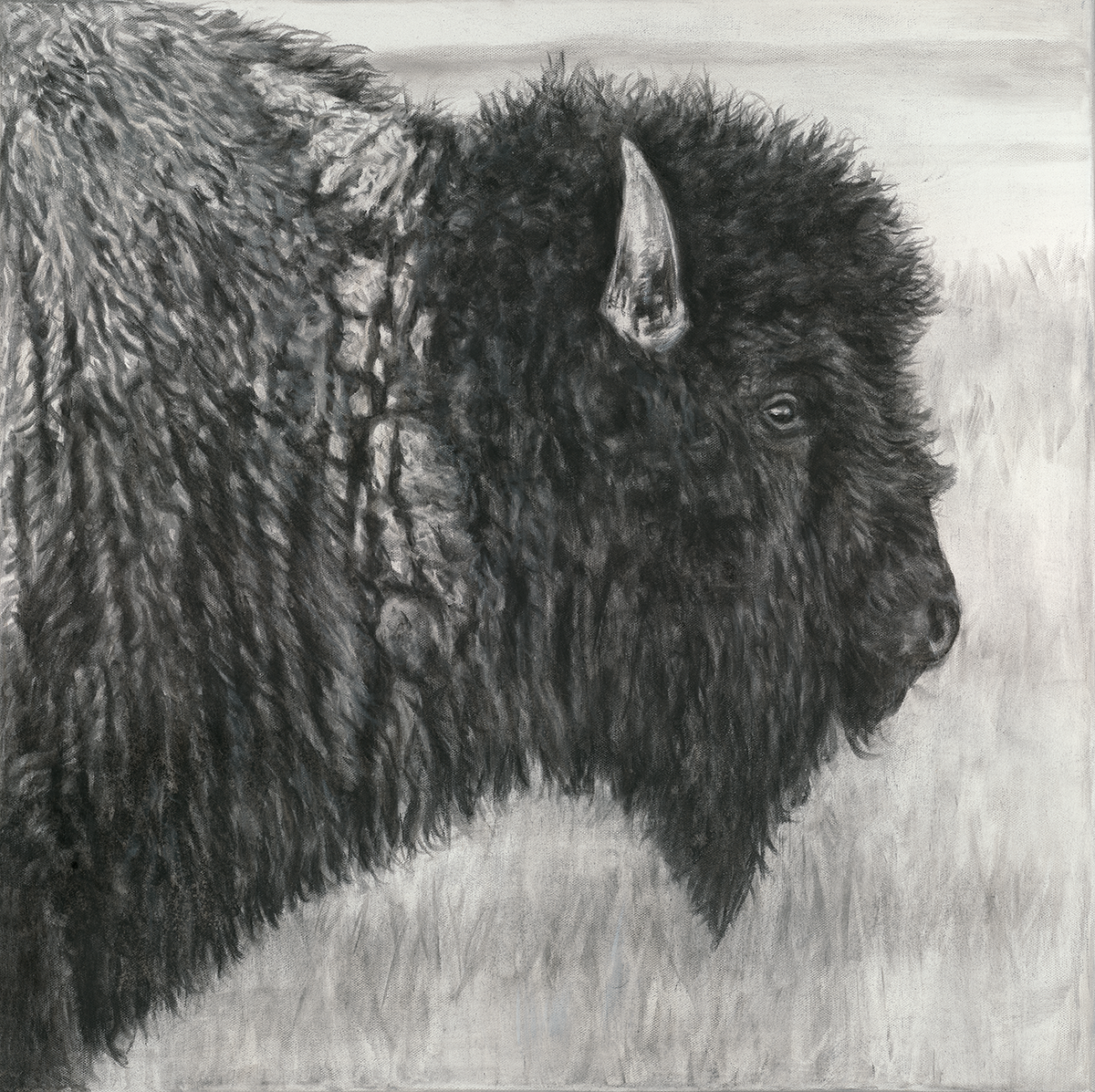 Buffalo