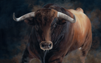 Bull