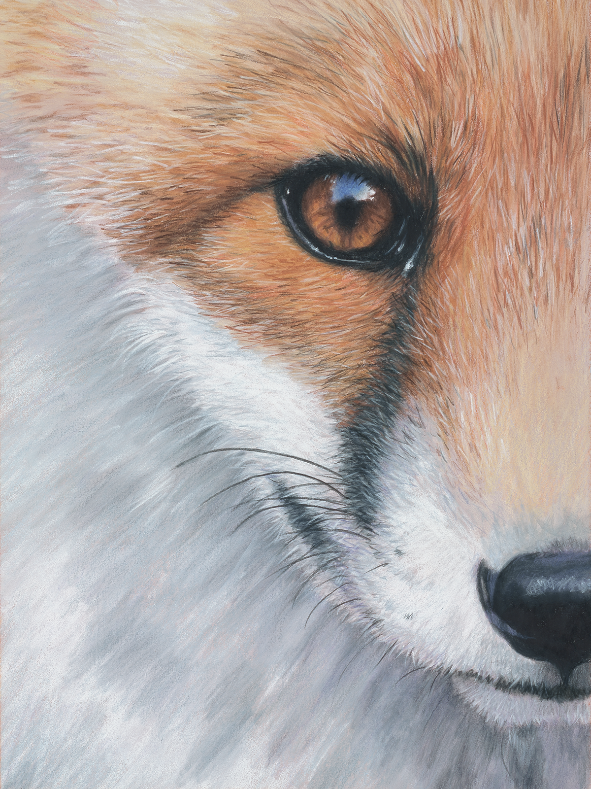 Fox Face