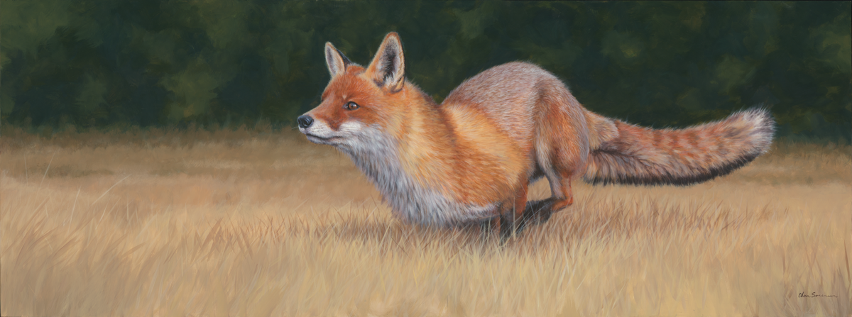 Free Fox