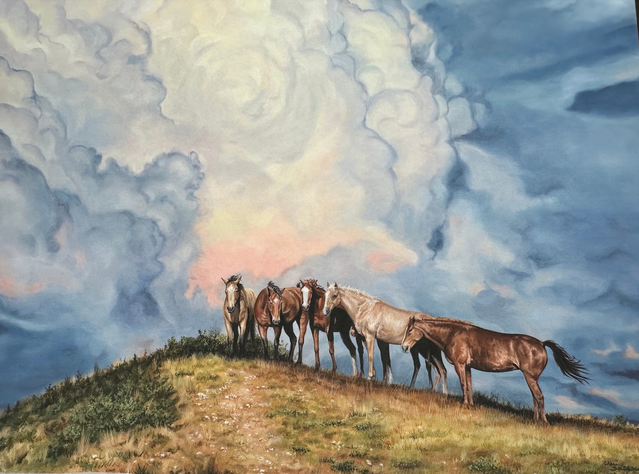 Horses on hill