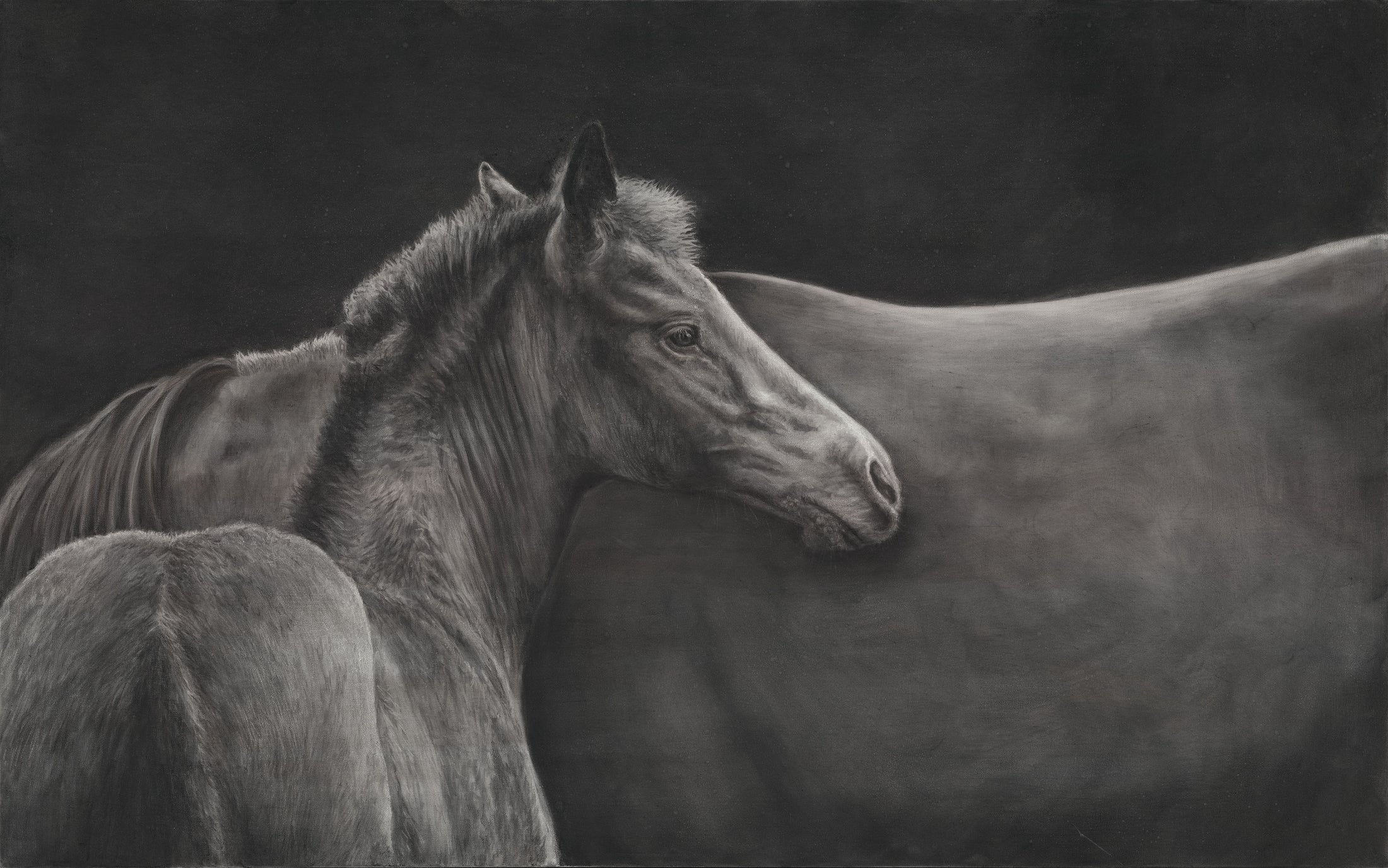 Mare and Foal