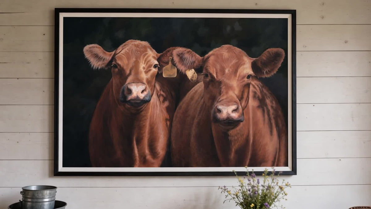 Red Angus Pair