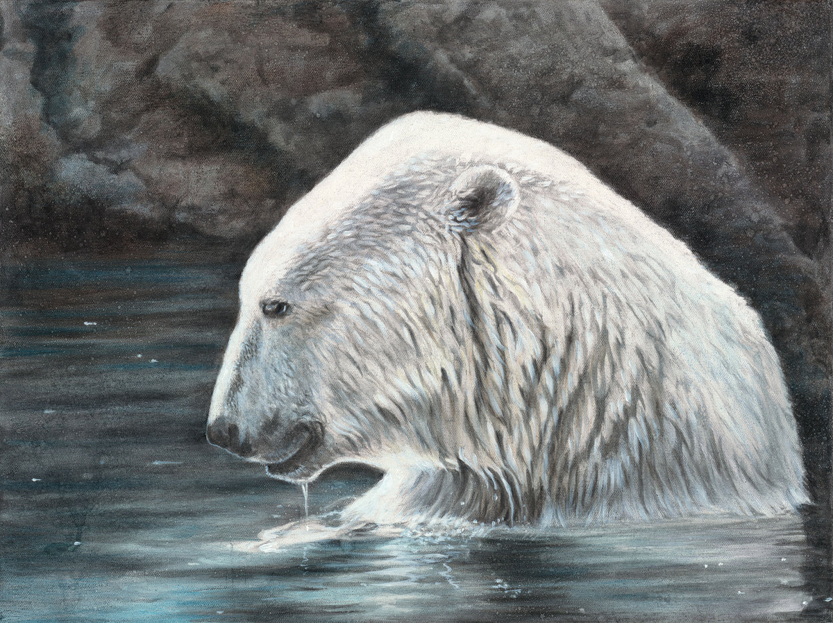 Wildlife