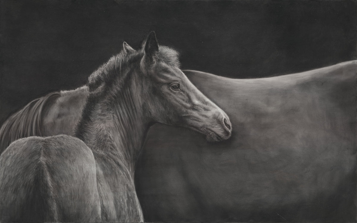 Mare and Foal