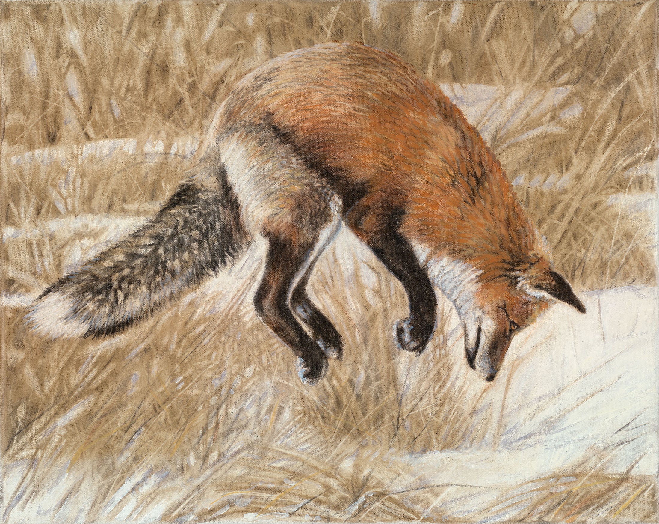 Fox
