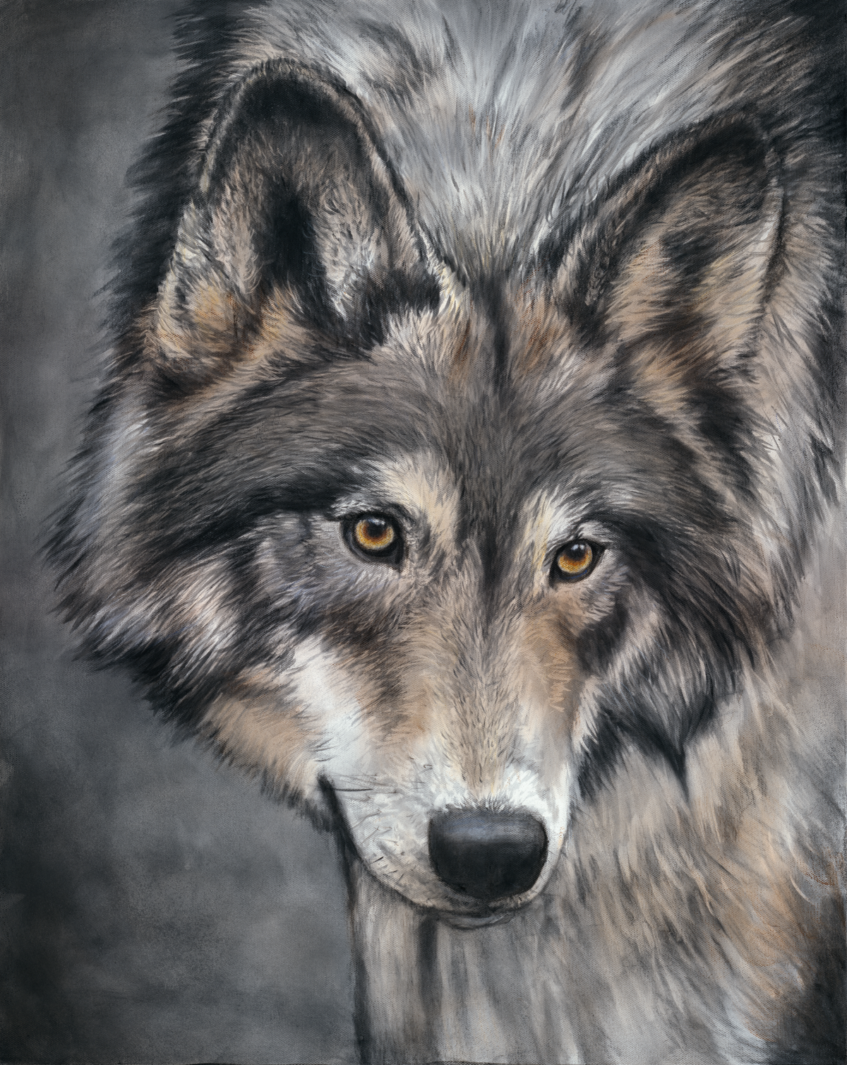 Timber Wolf