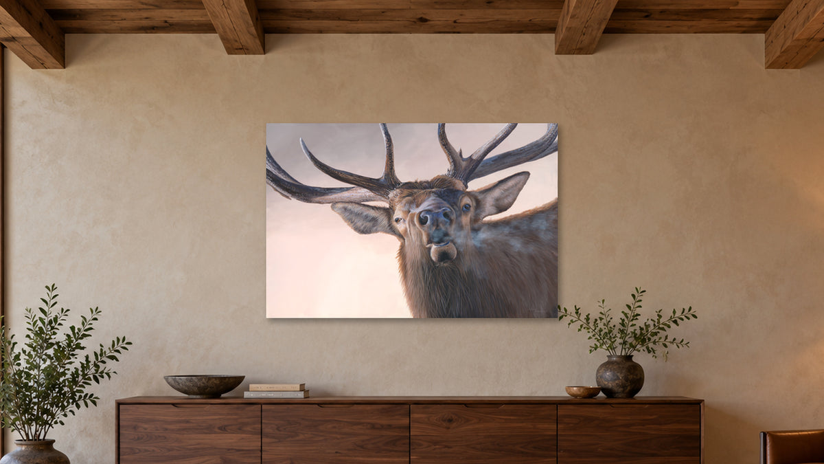 Bugling Elk