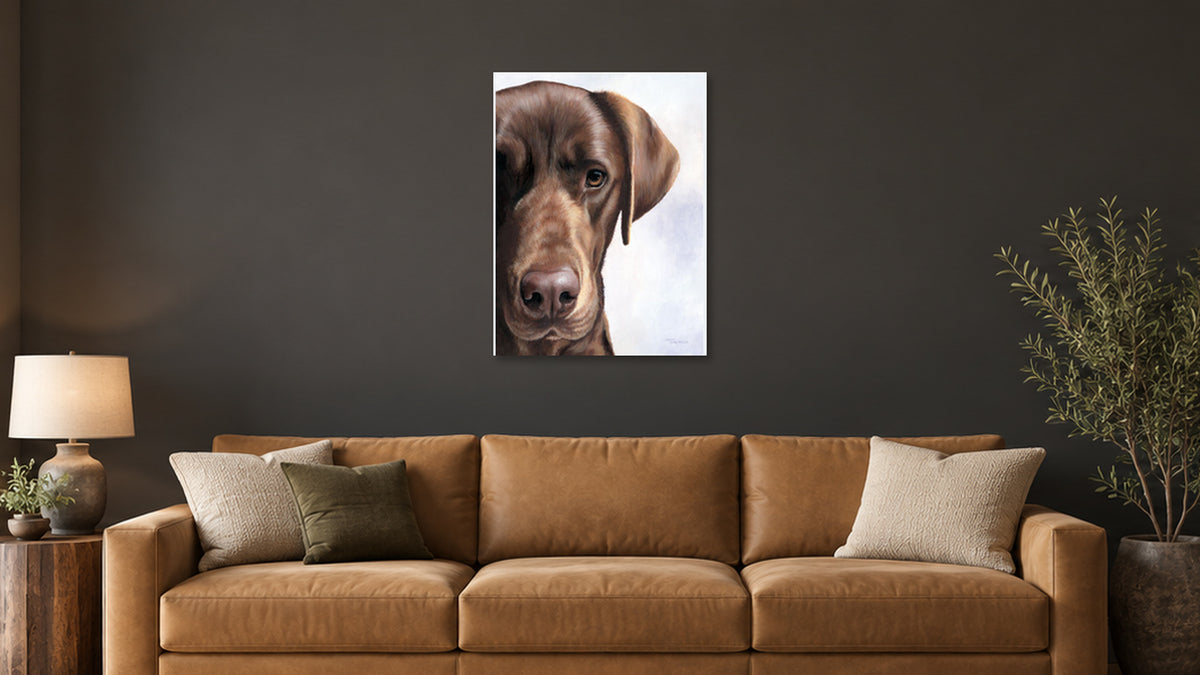 Chocolate Lab