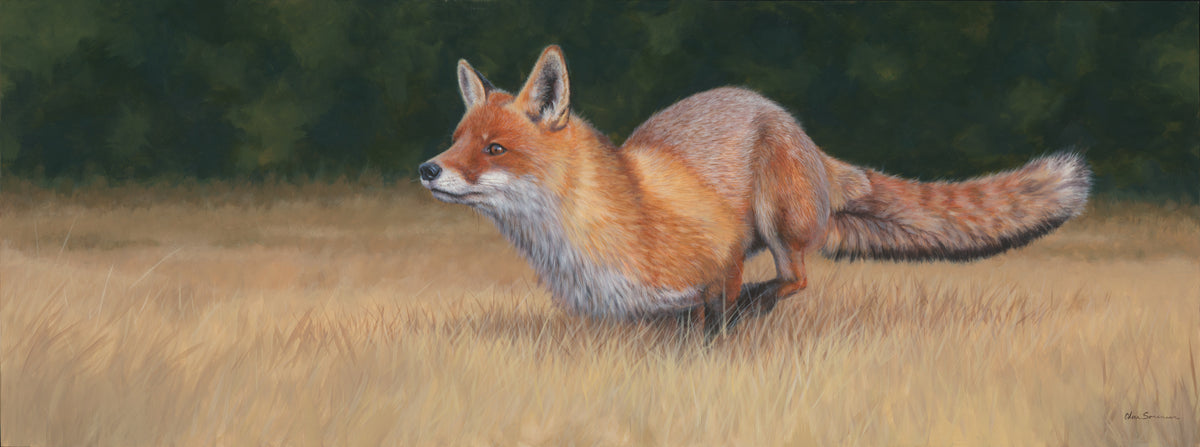 Free Fox