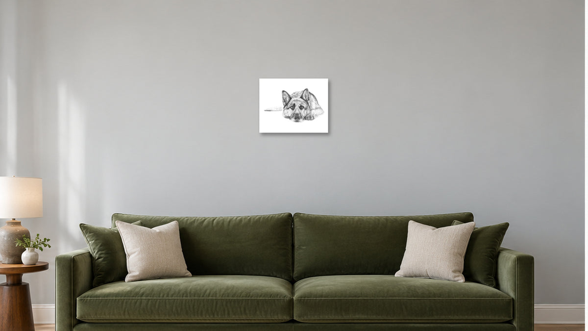 14x11 | Room-1