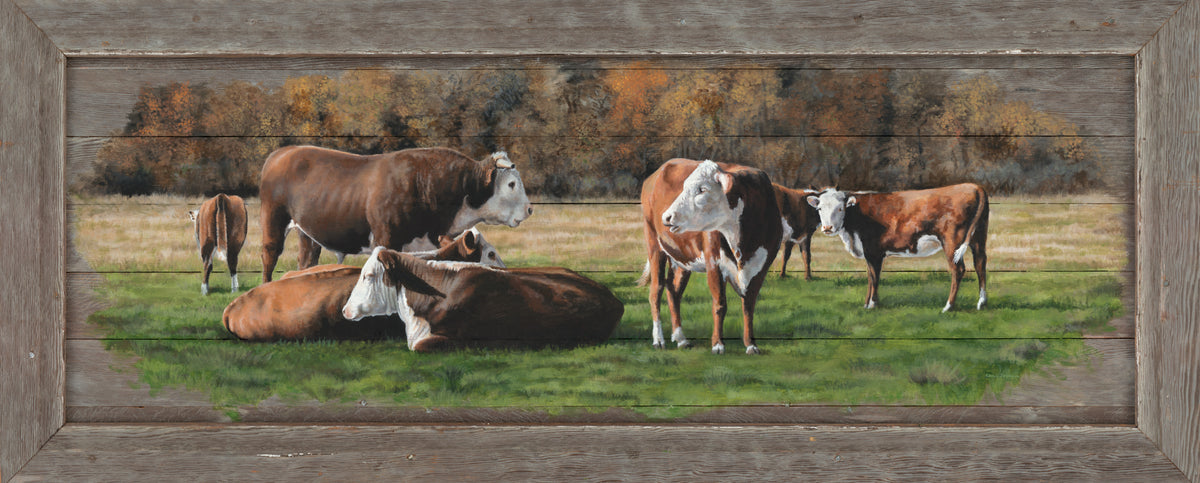Pasture Herefords