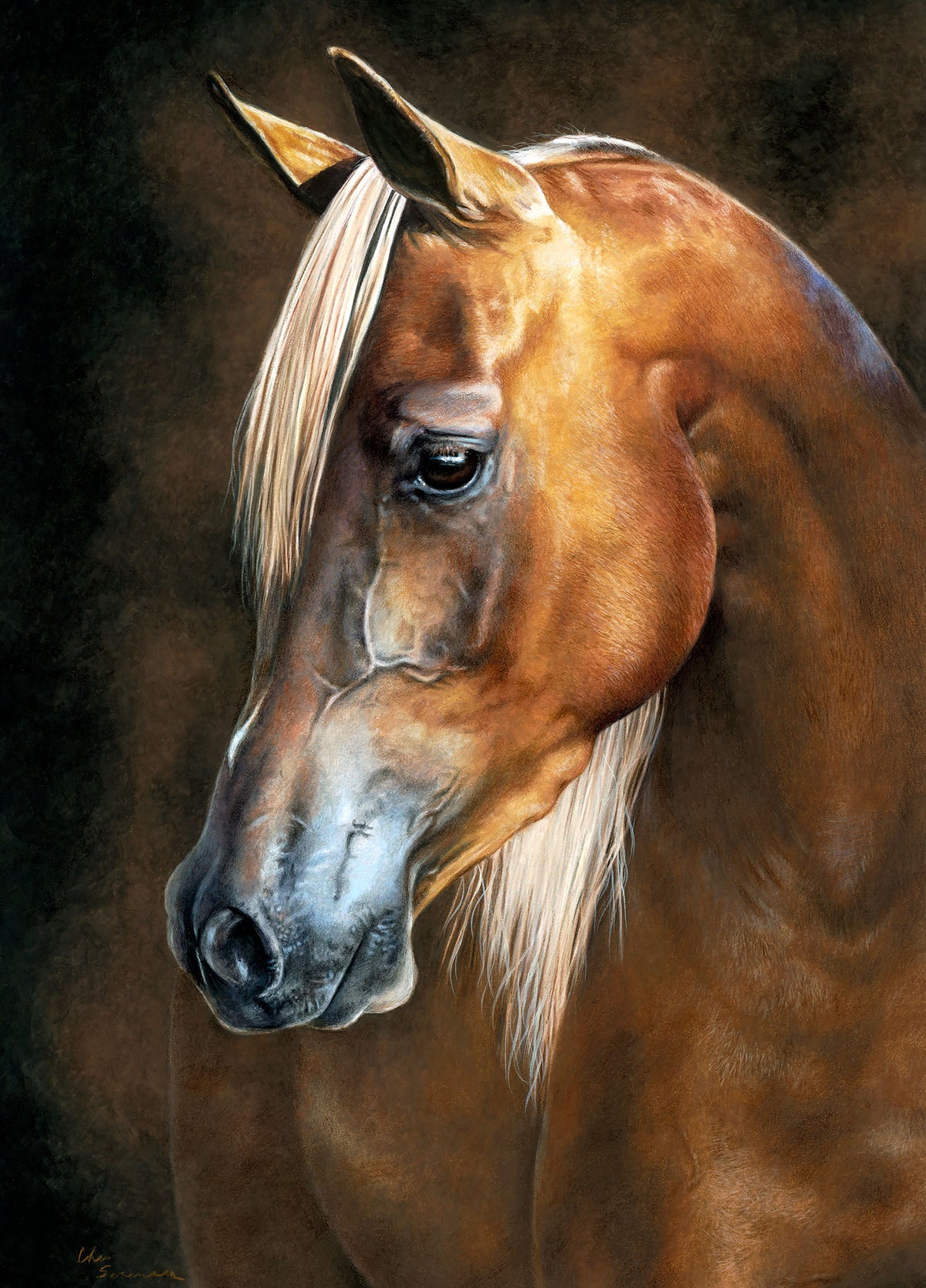 Arabian