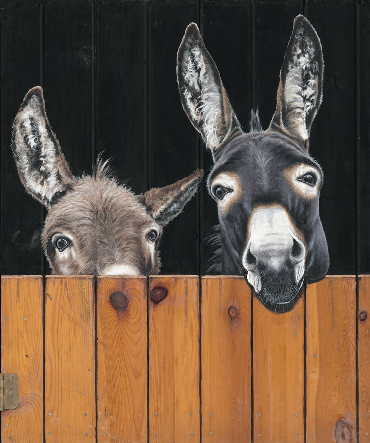 Barnyard Buddies