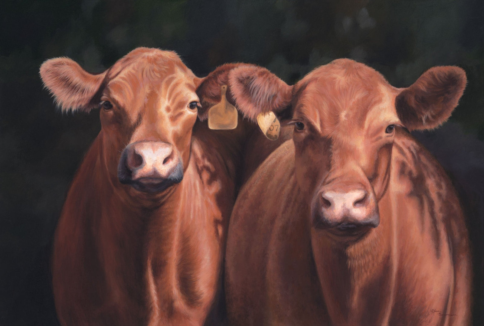 Brown Cows