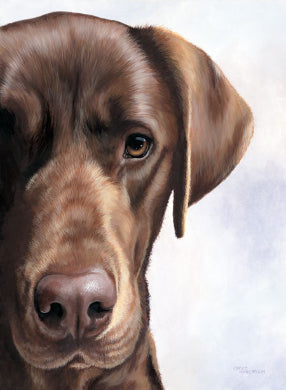 Dogs & Sporting Dogs