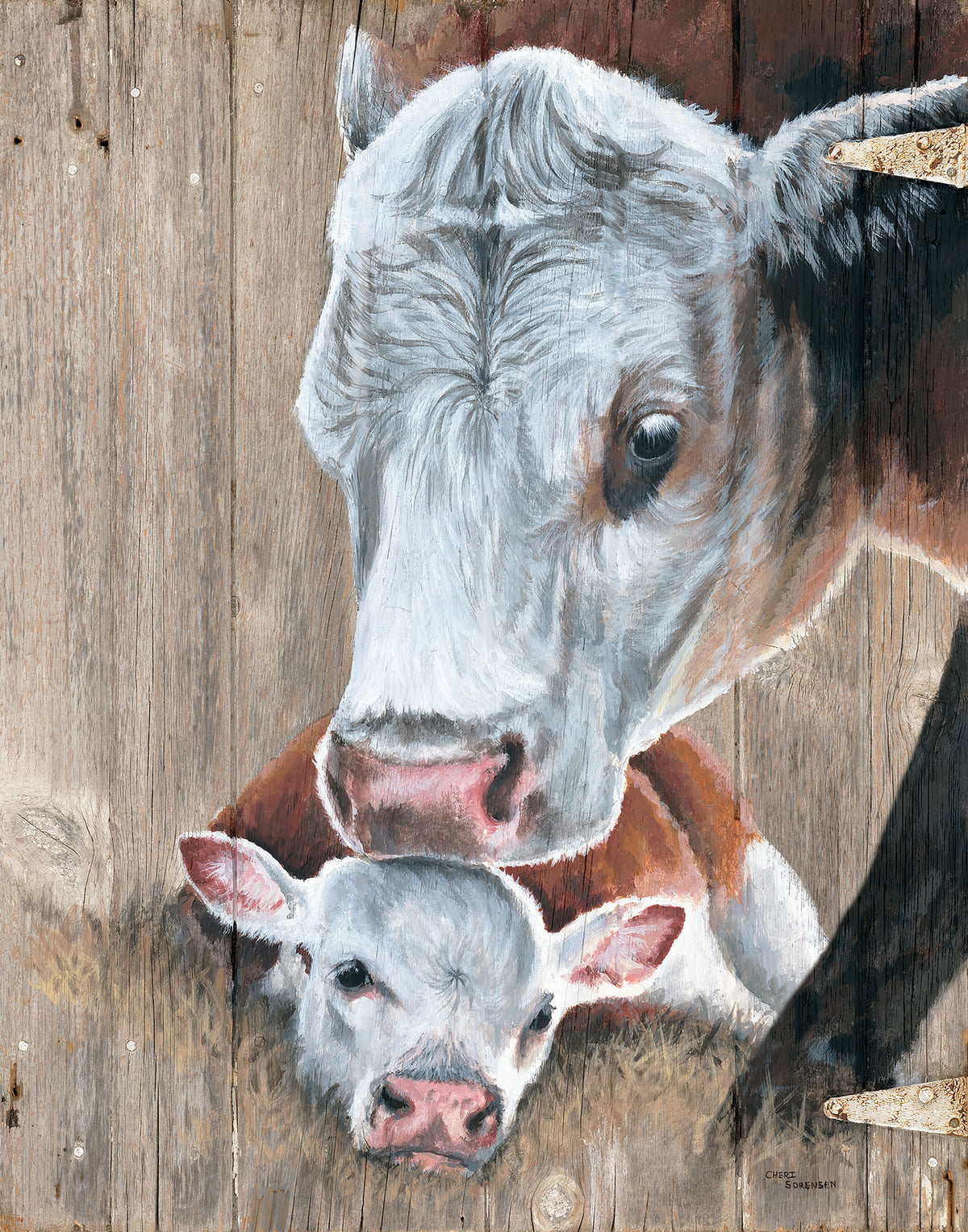 Cow and Calf
