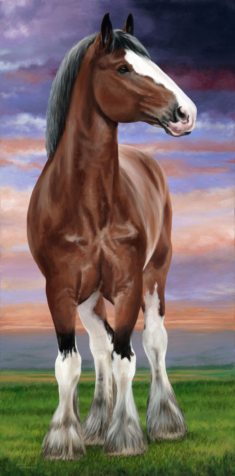 Clydesdale