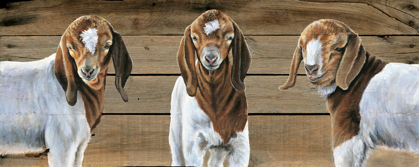 Goats