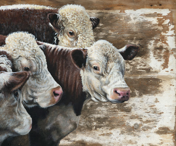 Hereford Herd