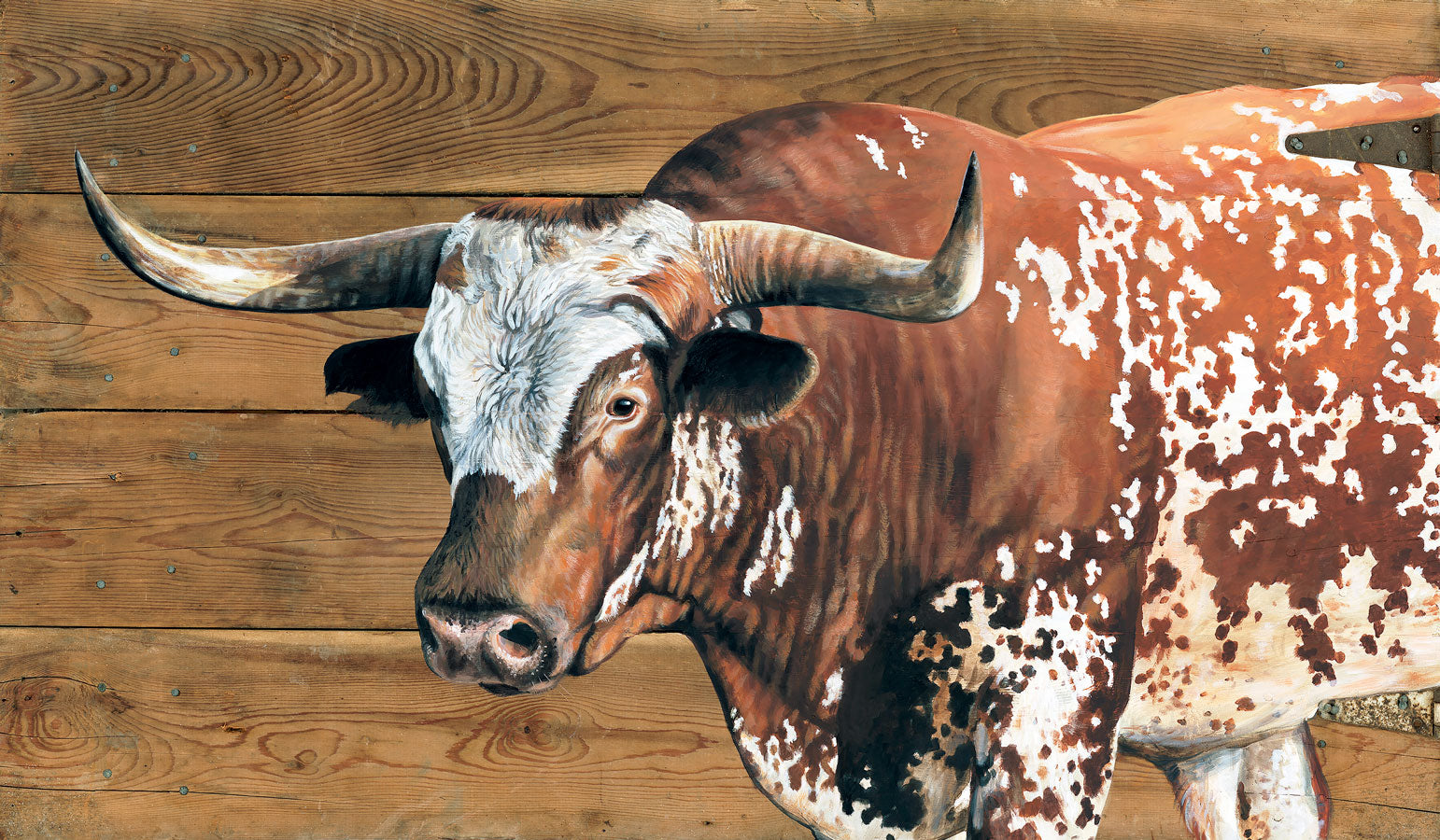 Long Horn