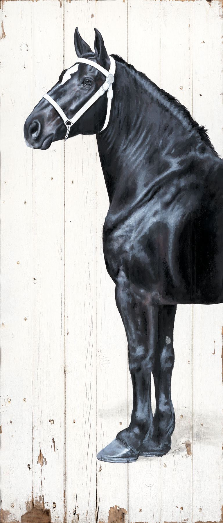 Percheron on Barn door