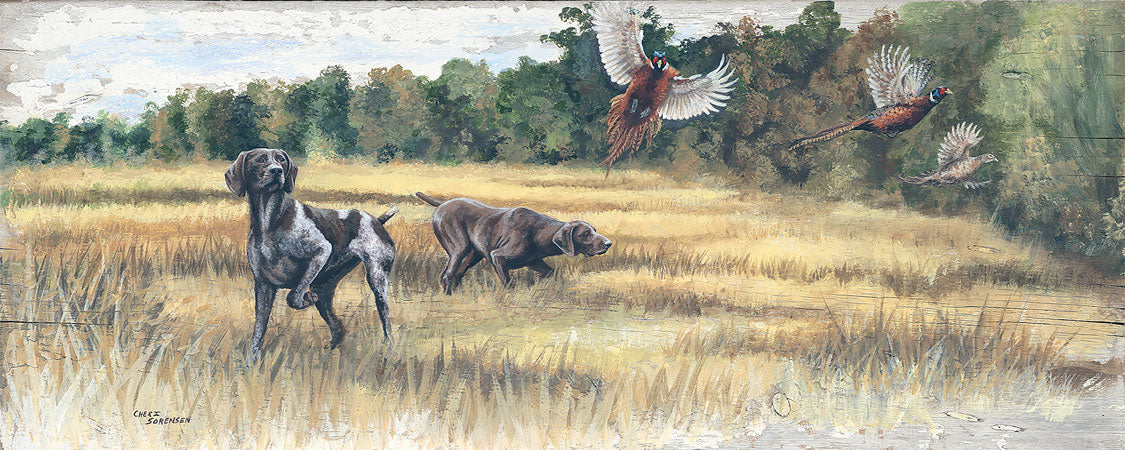 Pheasant Hunting