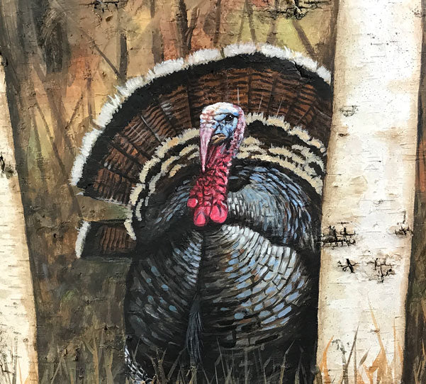 Wild Turkey