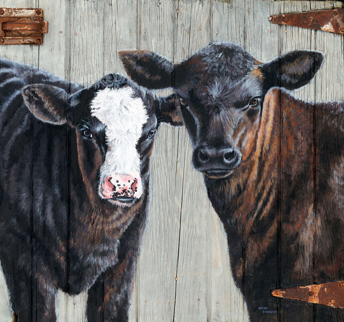 Angus Calves
