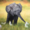 Baby Elephant
