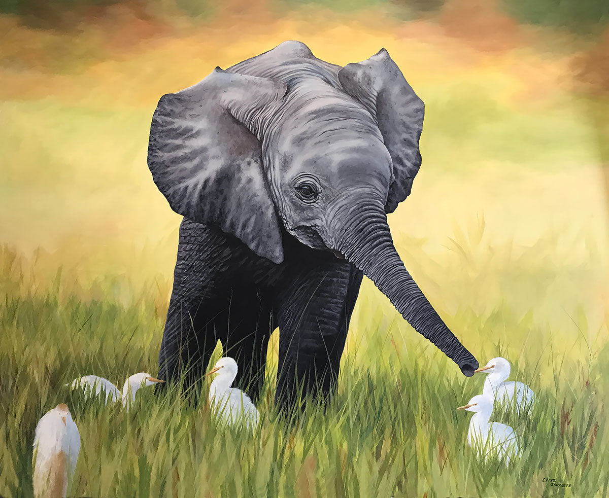Baby Elephant